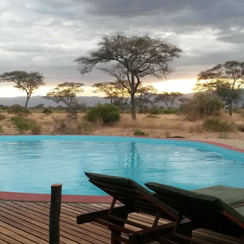 Tarangire Simba Lodge