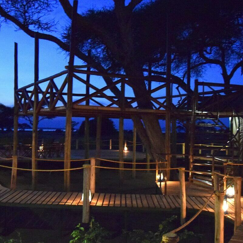 Tarangire Simba Lodge