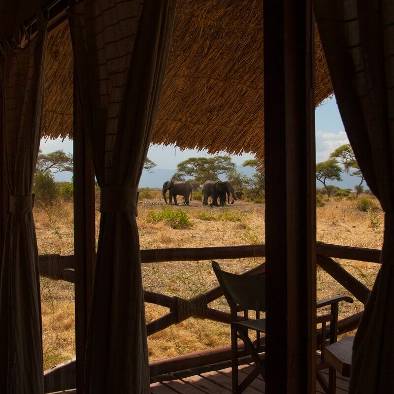 Tarangire Simba Lodge