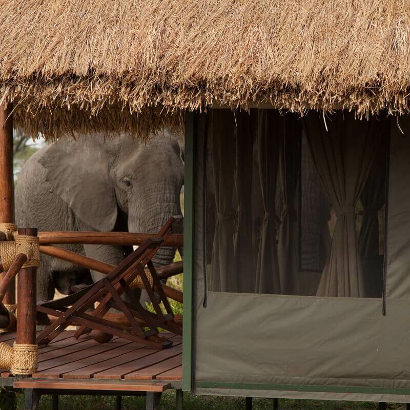 Tarangire Simba Lodge