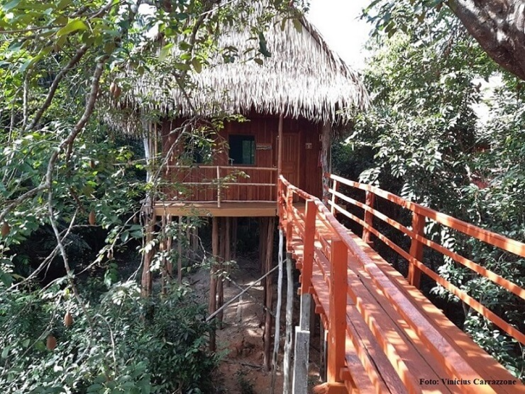 Tariri Amazon Lodge