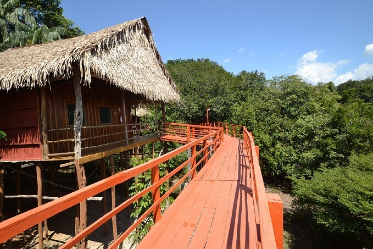 Tariri Amazon Lodge