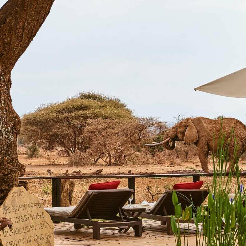 Tawi Lodge