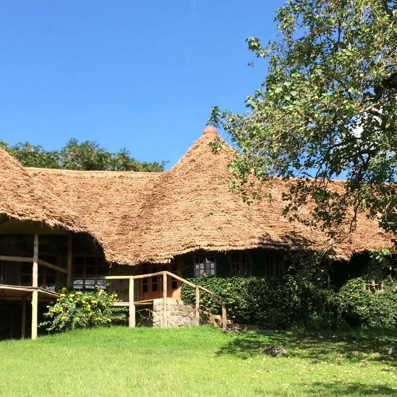 The African House