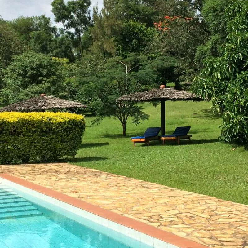 The African House