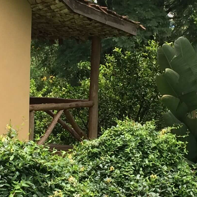 The African House
