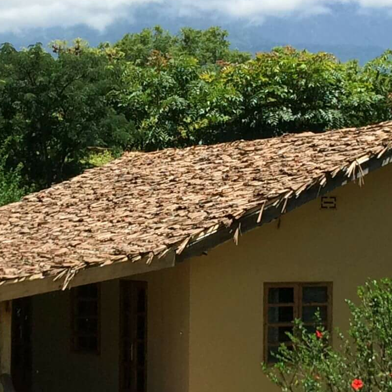 The African House
