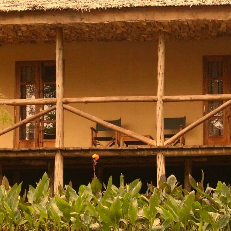 The African House
