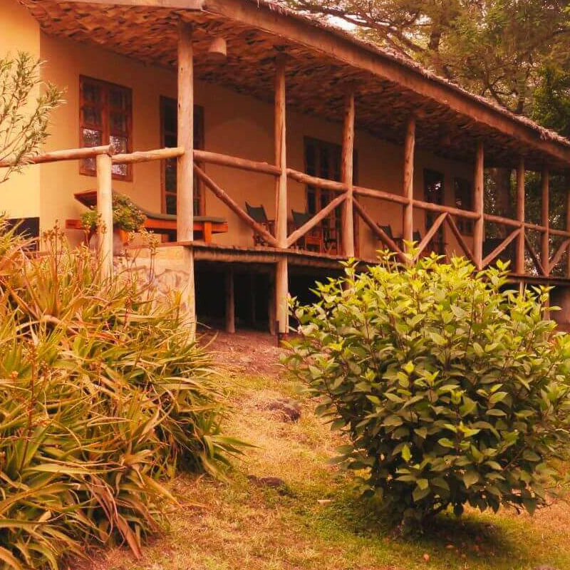 The African House
