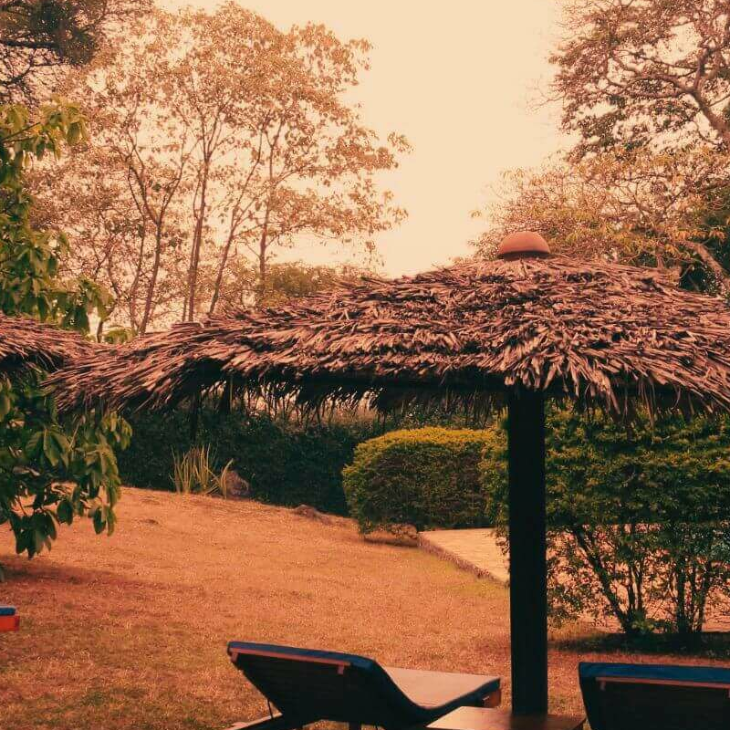 The African House