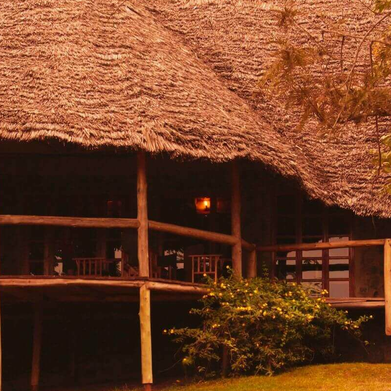 The African House