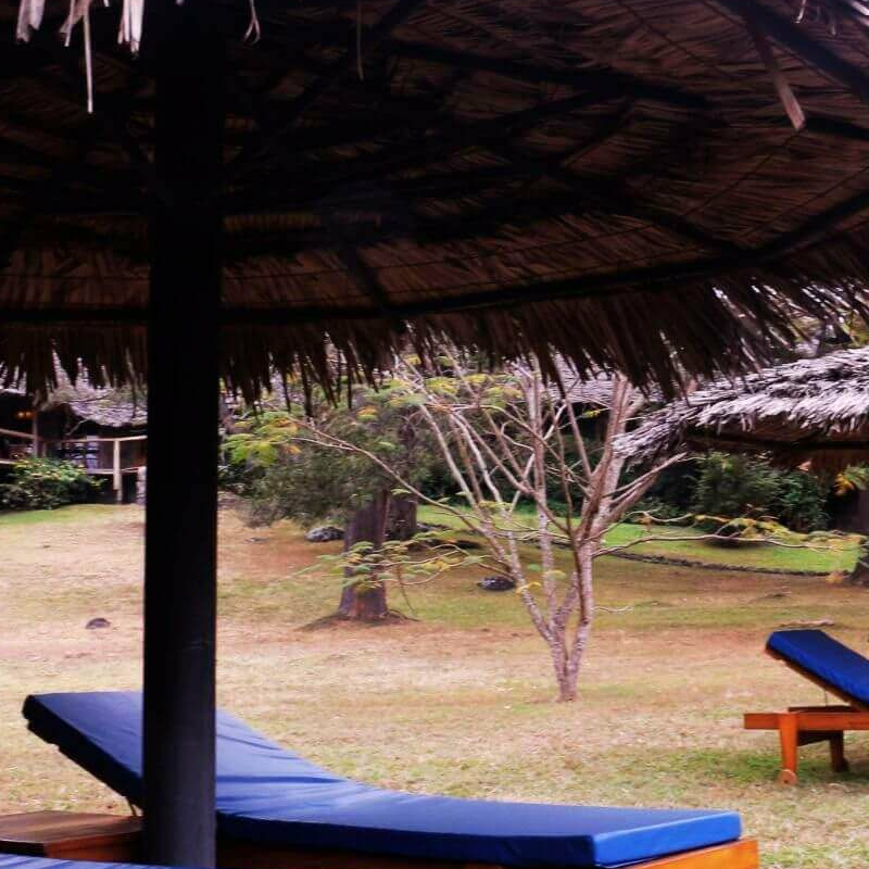 The African House