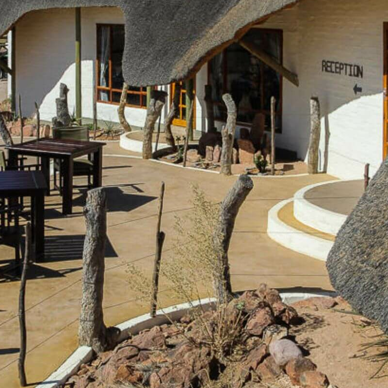 The Desert Homestead
