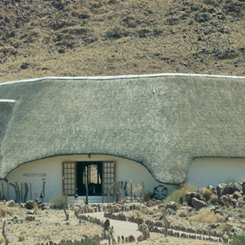 The Desert Homestead