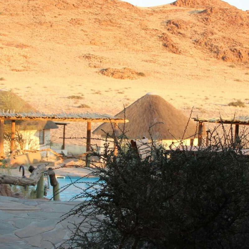 The Desert Homestead