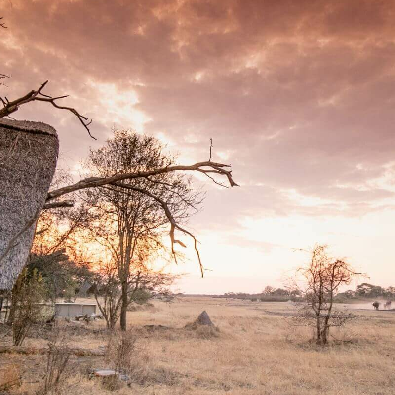 The Hide Safari Camp