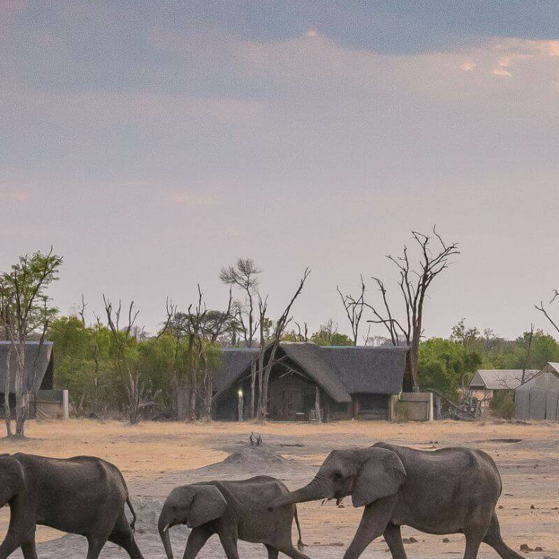 The Hide Safari Camp