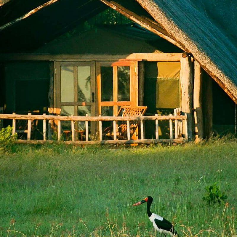 The Hide Safari Camp