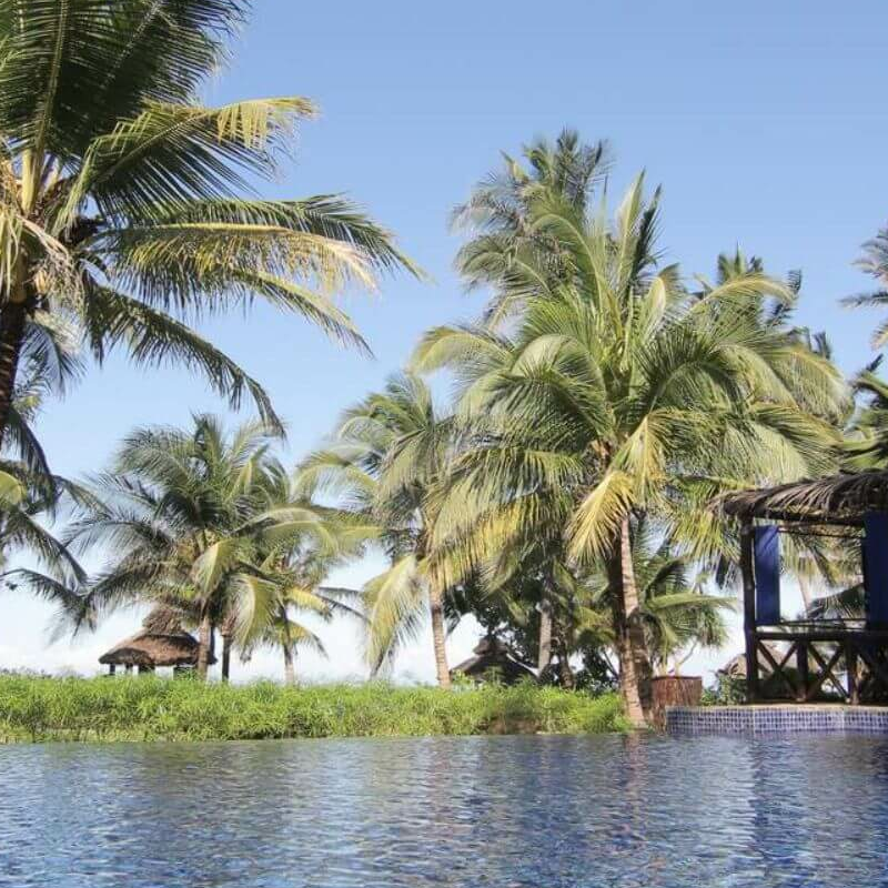 The Palms