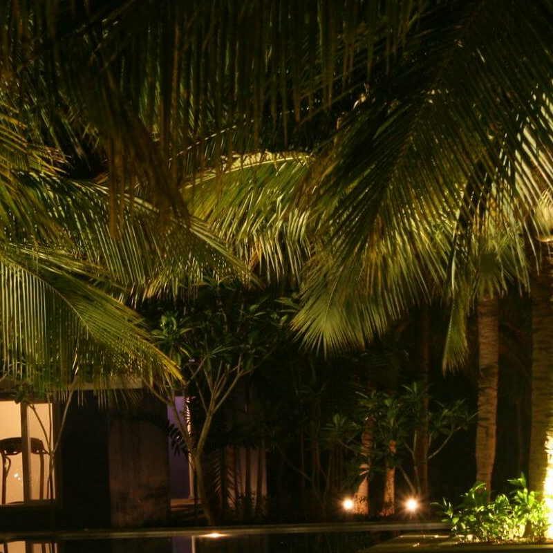 The Serai Kabini