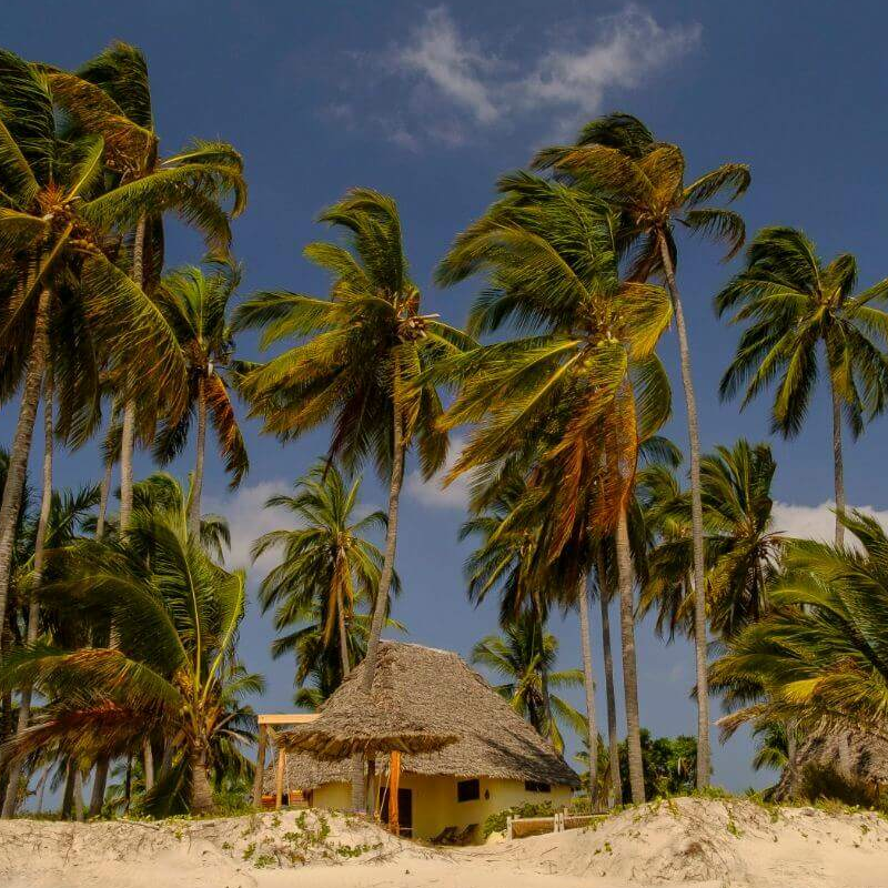 The Tides Lodge