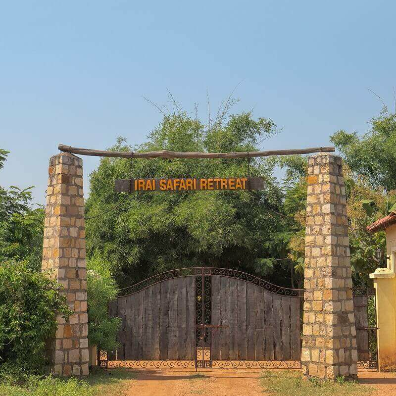 Tiger Trails