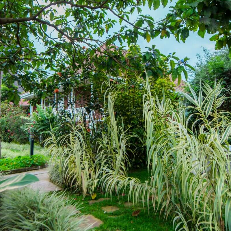 Tiloreza Eco Lodge