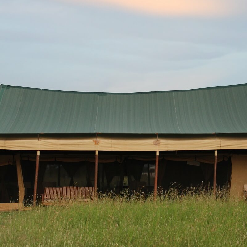 Tingitana Ndutu Camp