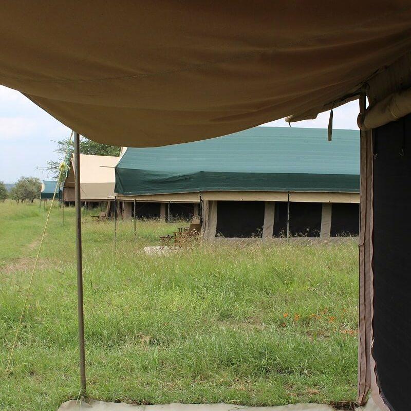 Tingitana Ndutu Camp