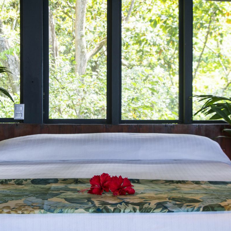 Tiskita Jungle Lodge