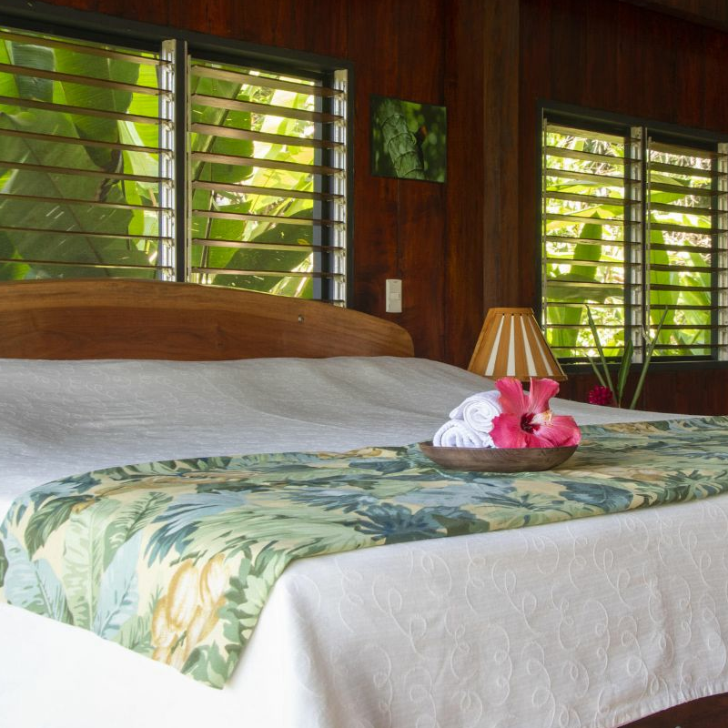 Tiskita Jungle Lodge