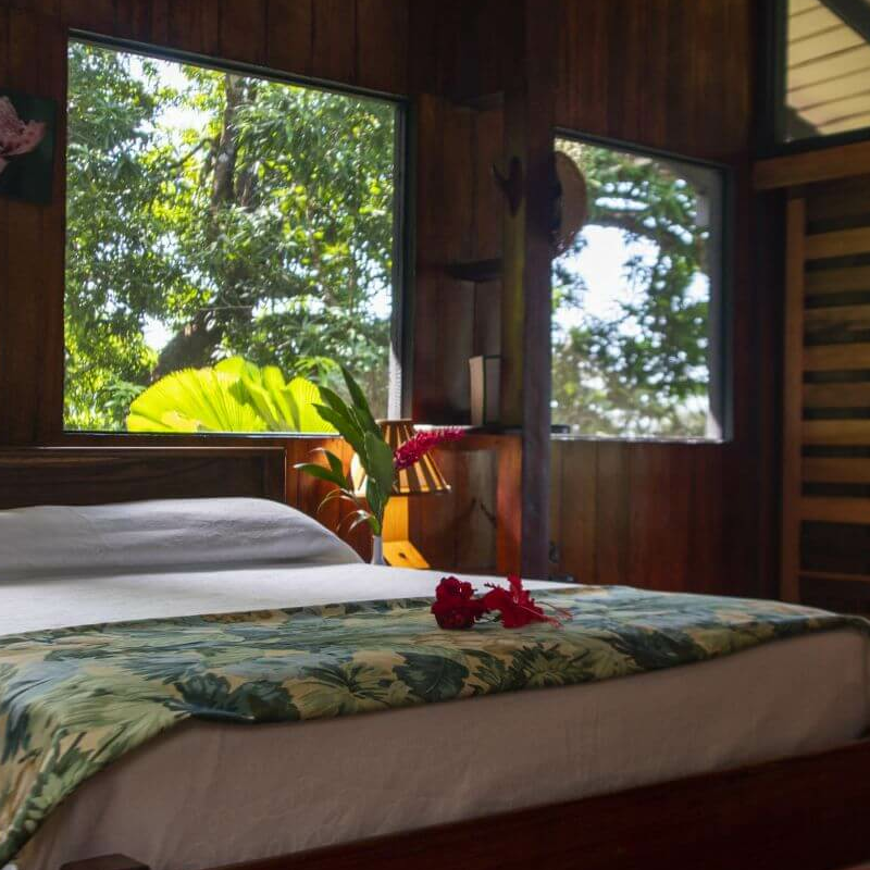 Tiskita Jungle Lodge