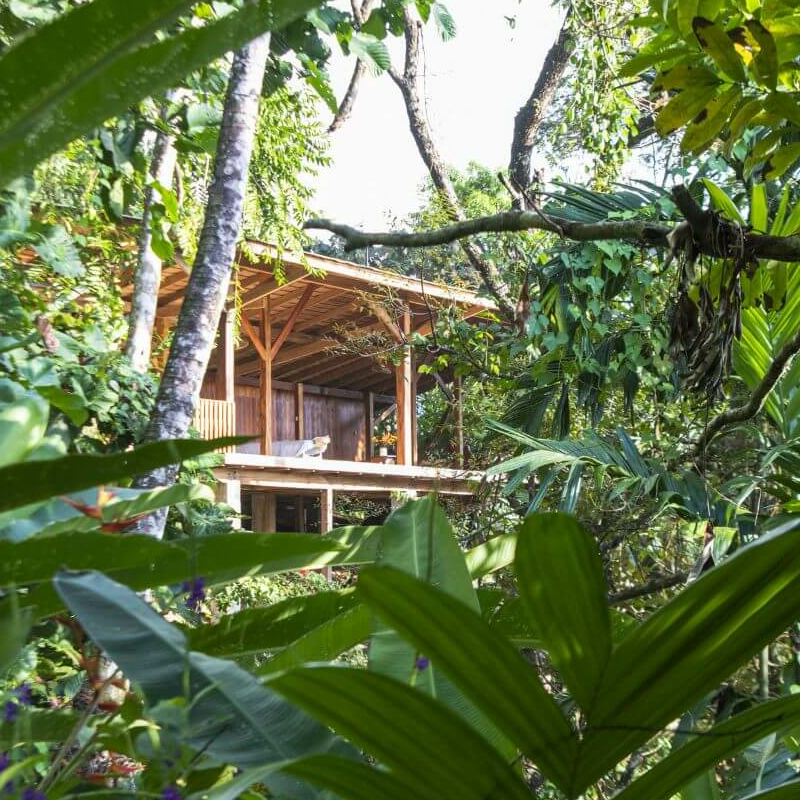 Tiskita Jungle Lodge