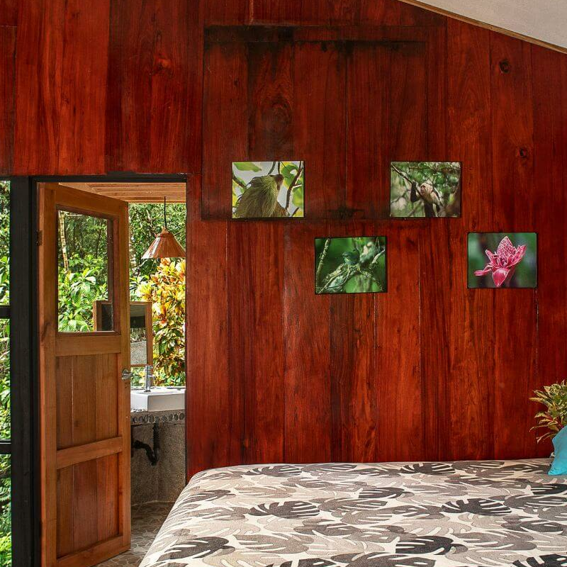 Tiskita Jungle Lodge