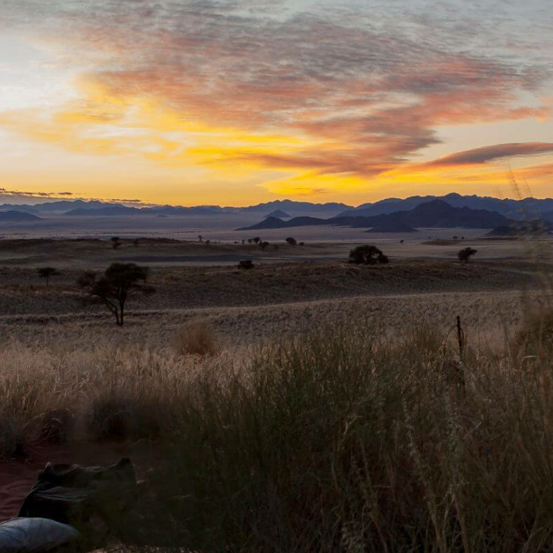Tok Tokkie Trails Camp