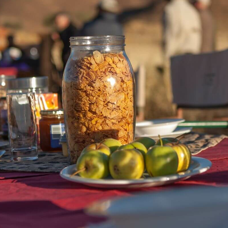 Tok Tokkie Trails Camp