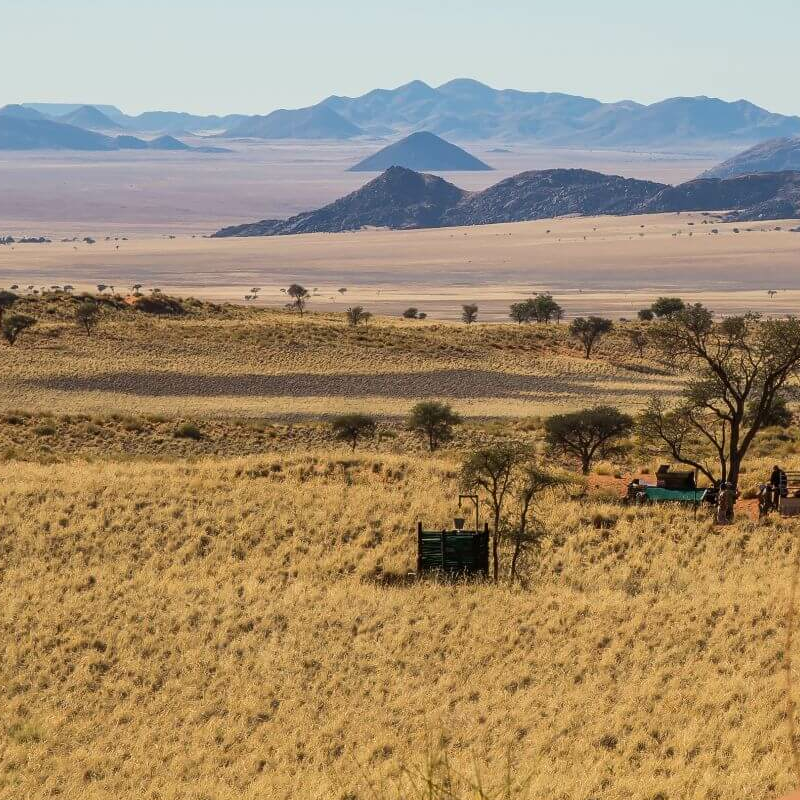 Tok Tokkie Trails Camp