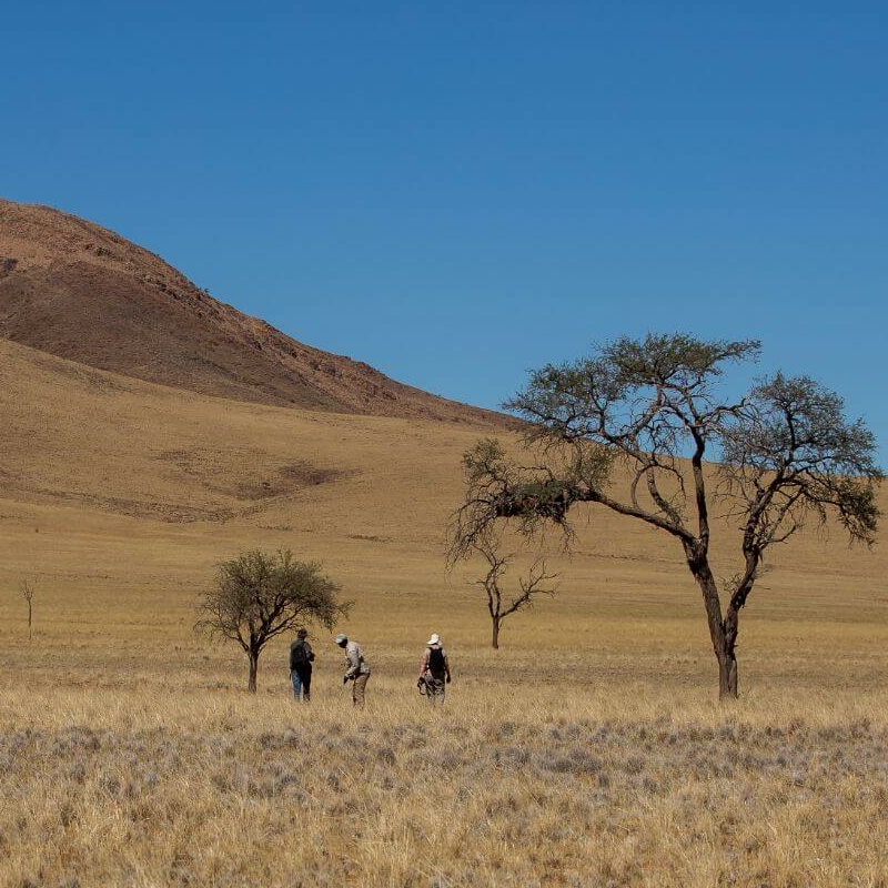 Tok Tokkie Trails Camp