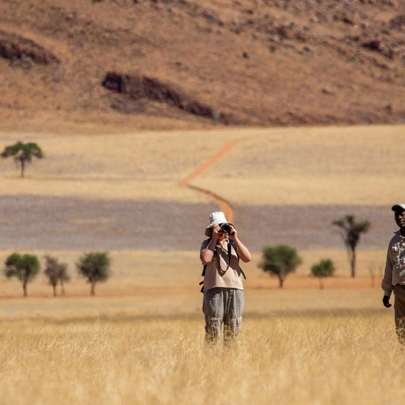 Tok Tokkie Trails Camp