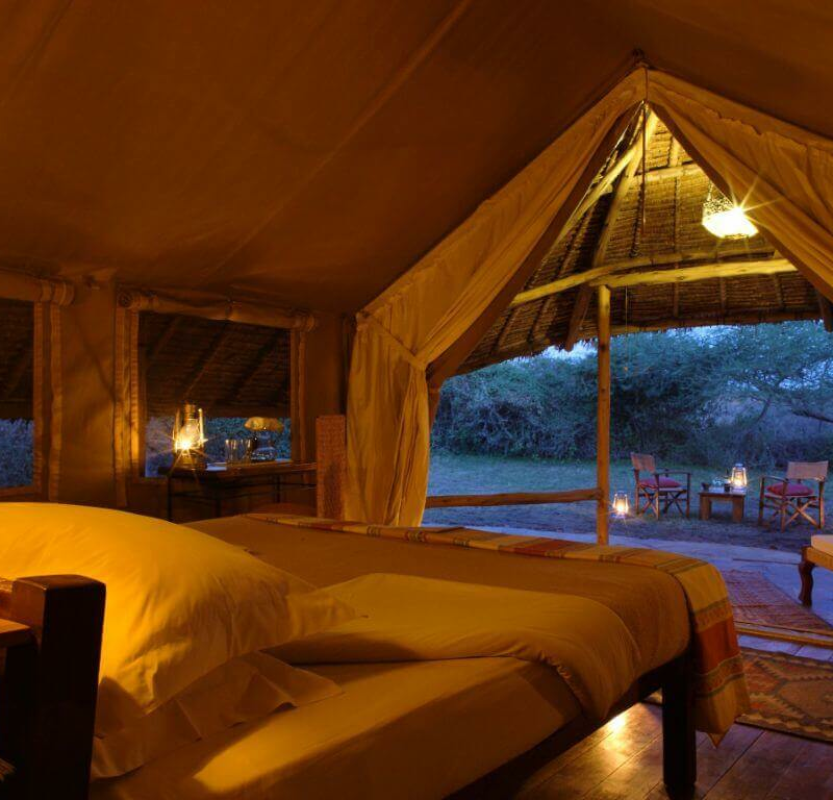 Tortilis Camp