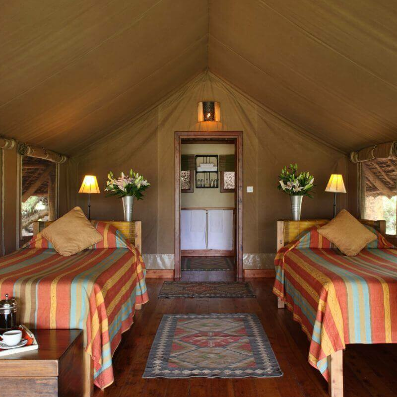 Tortilis Camp