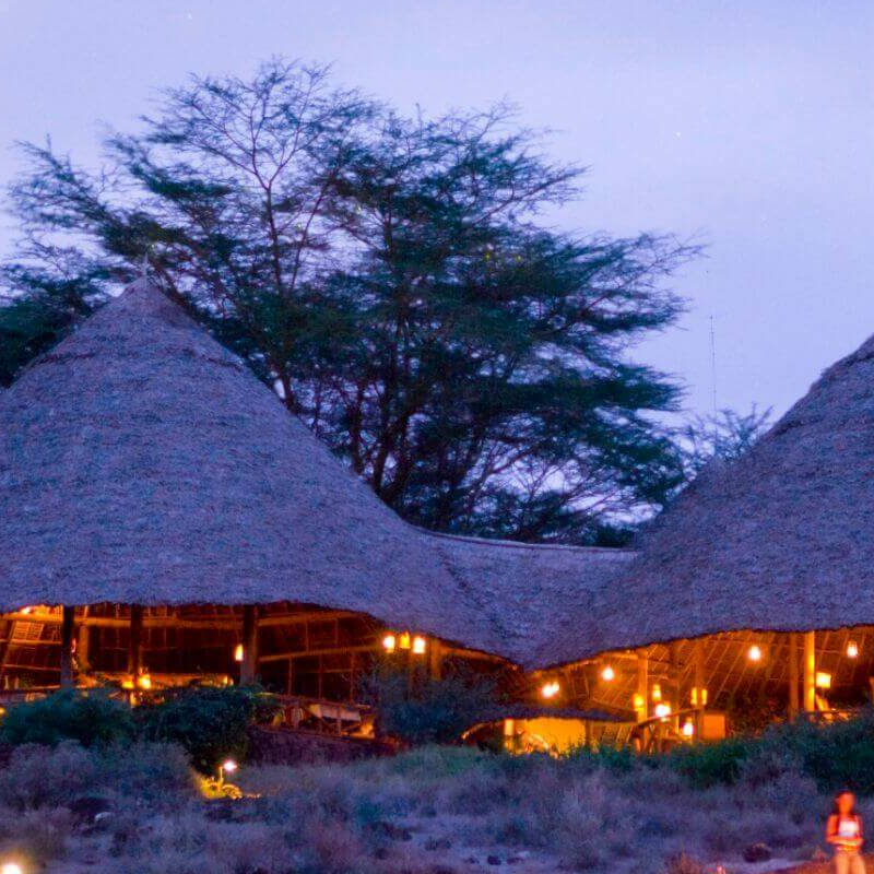 Tortilis Camp