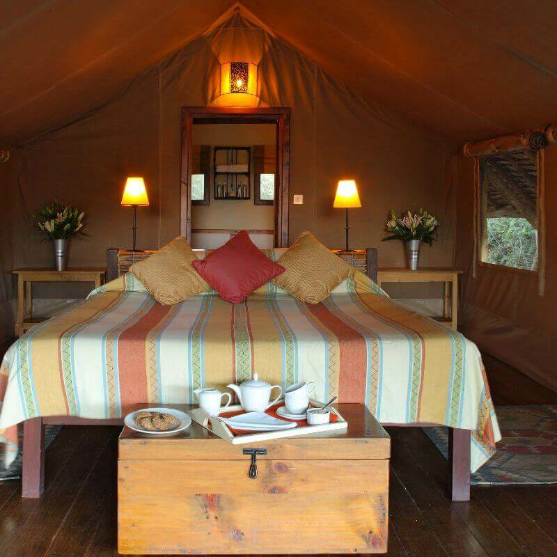 Tortilis Camp