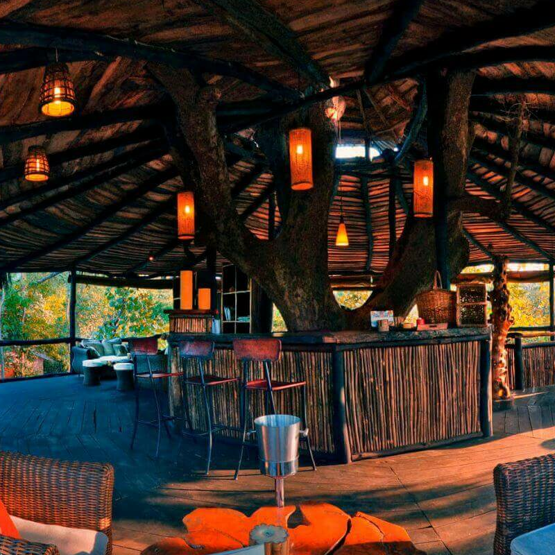 Tree House Hideaway