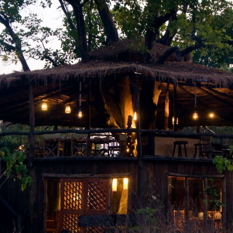 Tree House Hideaway
