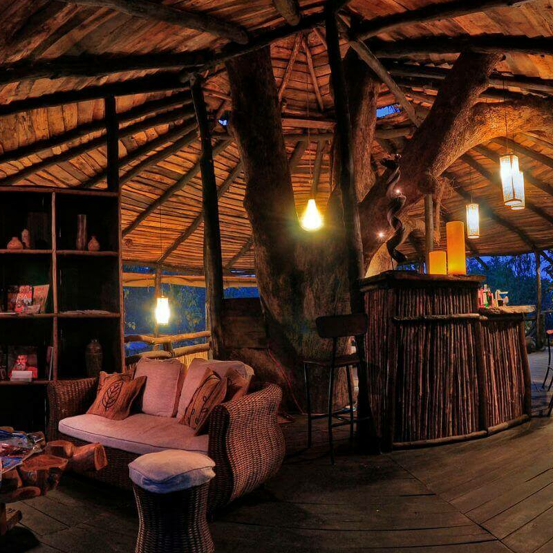 Tree House Hideaway