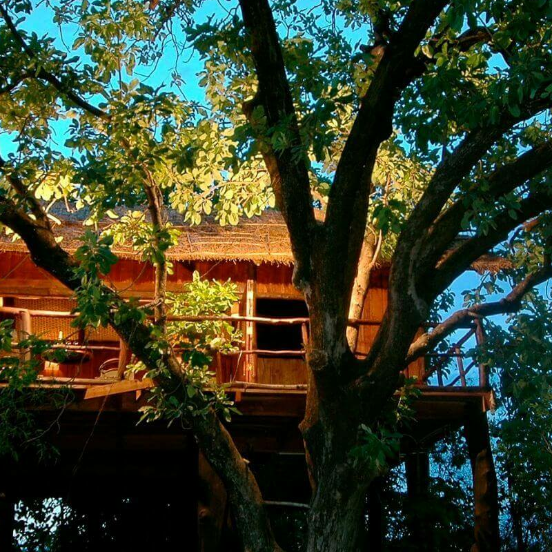 Tree House Hideaway