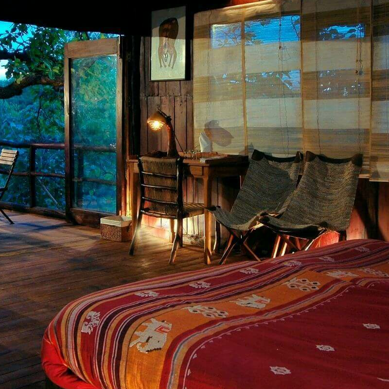Tree House Hideaway