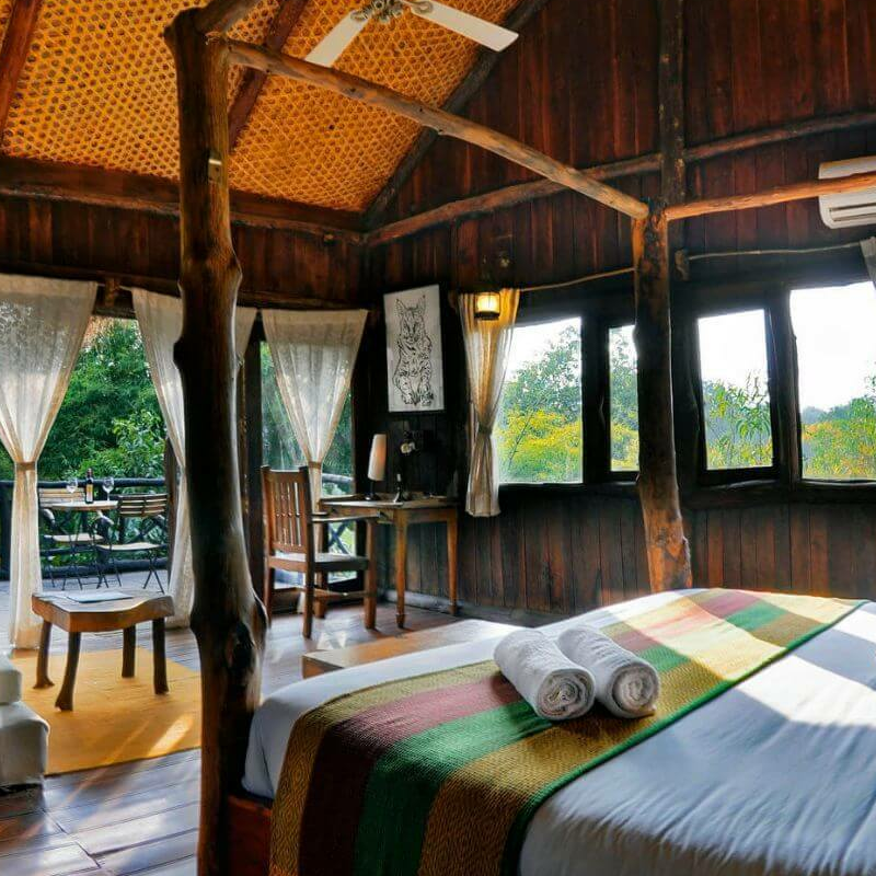 Tree House Hideaway