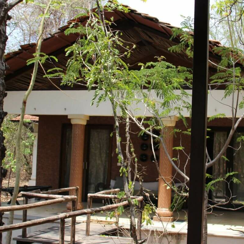 Tree Lodge Pench